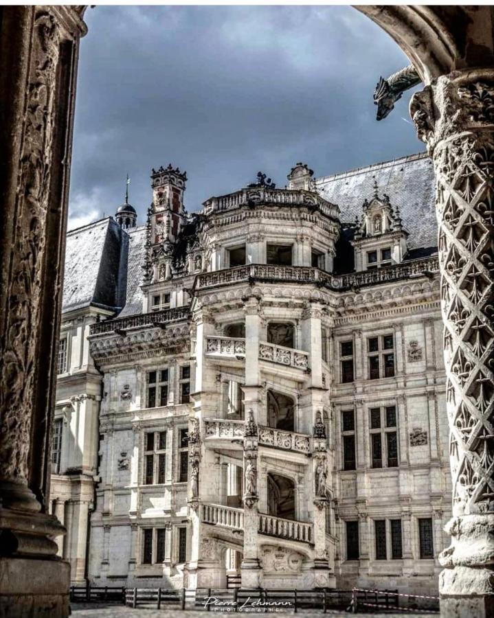 Appartement Porte Chartraine Блуа Экстерьер фото